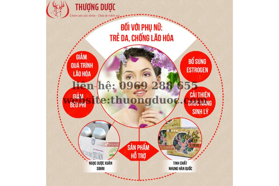 Phụ nữ uống nhung hươu có tốt không? Chi tiết