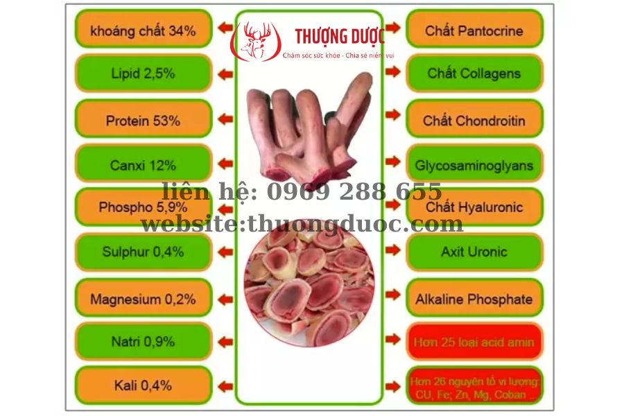 Hỏi đáp về nhung hươu: Phụ nữ uống nhung hươu có tốt không?