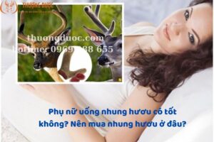 Phụ nữ uống nhung hươu có tốt không? Nên mua nhung hươu ở đâu?