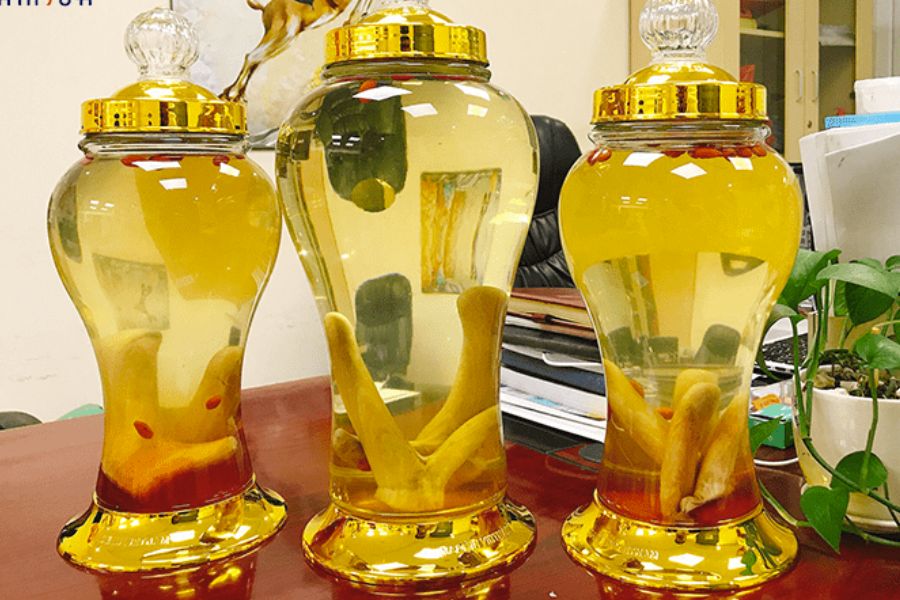 Rượu nhung hươu Hà Tĩnh bồi bổ sức khoẻ
