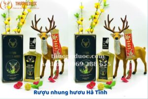 Rượu nhung hươu Hà Tĩnh: công dụng, cách dùng, giá bán