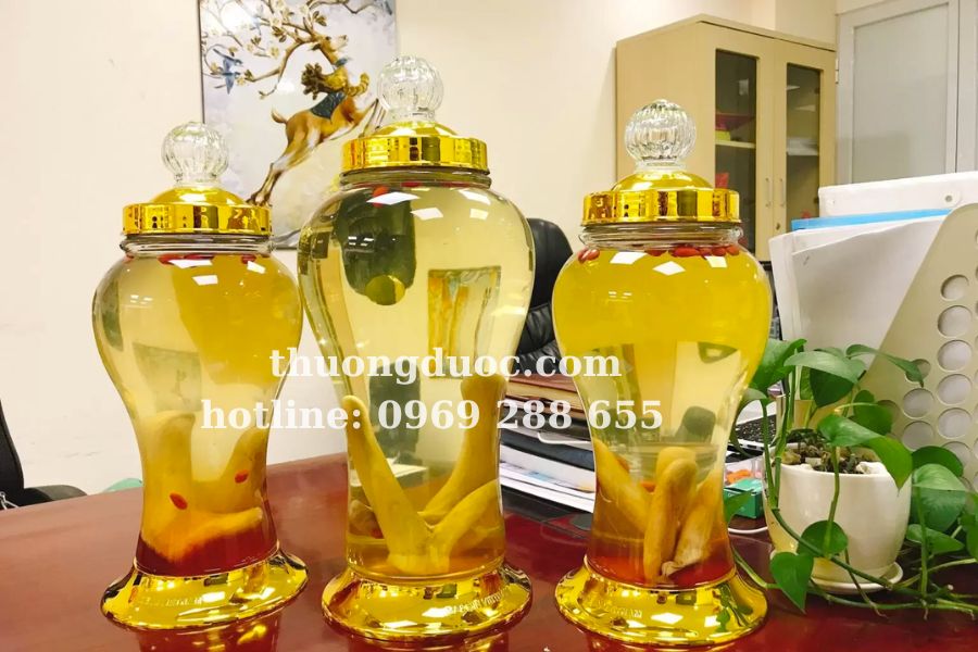 Uống rượu nhung hươu có tác dụng gì? Giải đáp chi tiết nhất