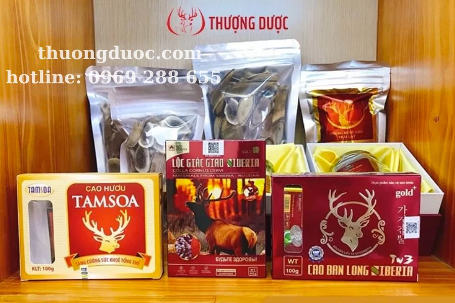 Uống rượu nhung hươu có tác dụng gì? Thông tin chi tiết