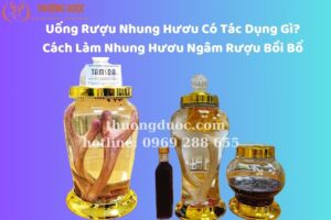 Uống Rượu Nhung Hươu Có Tác Dụng Gì? Cách Làm Nhung Hươu Ngâm Rượu Bồi Bổ