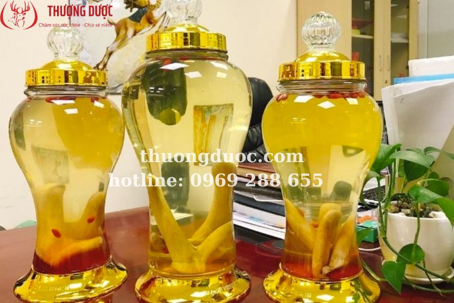 Các loại rượu ngâm quý hiếm tốt nhất