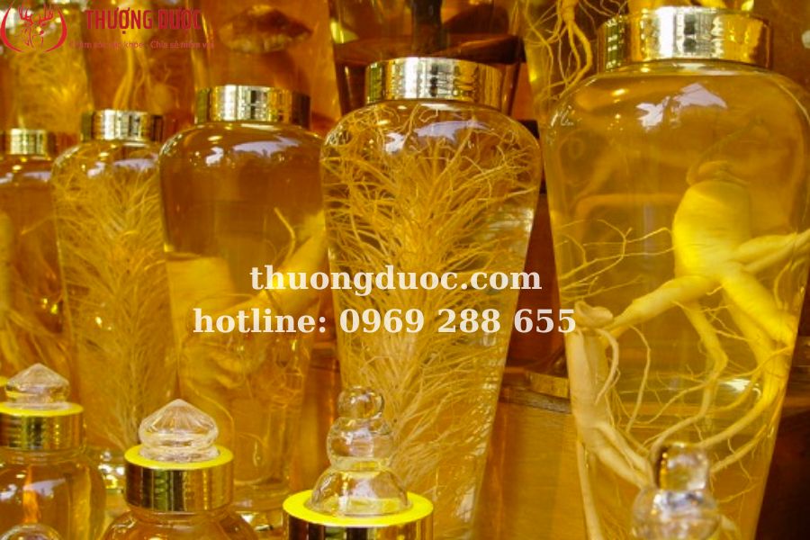 Mách bạn các loại rượu ngâm quý hiếm 