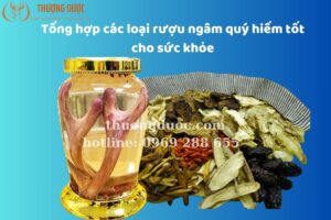 Tổng hợp các loại rượu ngâm quý hiếm tốt cho sức khỏe