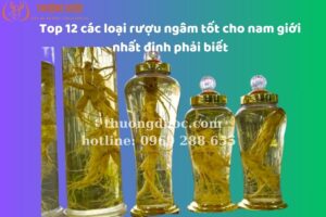 Top 12 các loại rượu ngâm tốt cho nam giới nhất định phải biết