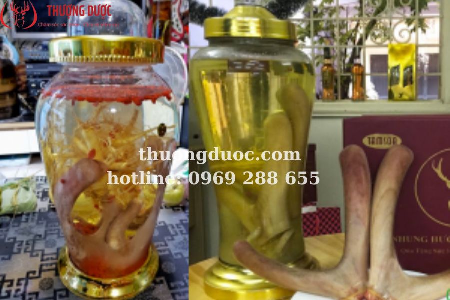 Mách bạn các loại rượu ngâm tốt cho nam giới