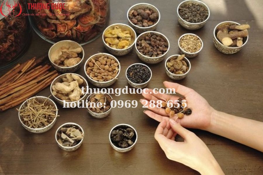 Bật mí các vị thuốc bồi bổ cơ thể