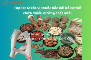 Toplist 12 các vị thuốc bắc bồi bổ cơ thể chứa nhiều dưỡng chất nhất