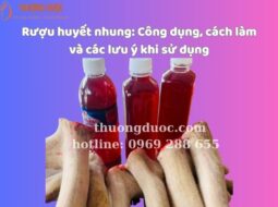 Rượu huyết nhung: Công dụng, cách làm và các lưu ý khi sử dụng