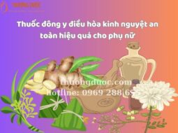Thuốc đông y điều hòa kinh nguyệt an toàn hiệu quả cho phụ nữ