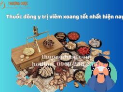 Mách bạn thuốc đông y trị viêm xoang tốt nhất hiện nay