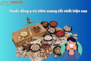 Mách bạn thuốc đông y trị viêm xoang tốt nhất hiện nay
