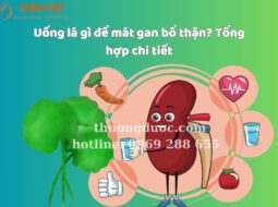 Uống lá gì để mát gan bổ thận? Tổng hợp chi tiết