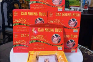 Cao Nhung Hươu Có Tốt Không? Thực Hư Những Công Dụng Khiến Nhiều Người Tìm Mua