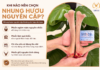 Nhung Hươu Tươi Nguyên Cặp Hay Cắt Lát Nên Mua? Cách Chọn Phù Hợp Với Nhu Cầu