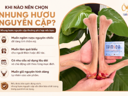Nhung Hươu Tươi Nguyên Cặp Hay Cắt Lát Nên Mua? Cách Chọn Phù Hợp Với Nhu Cầu