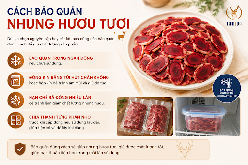 Cách Bảo Quản Nhung Hươu Tươi Cách Bảo Quản Nhung Hươu Tươi